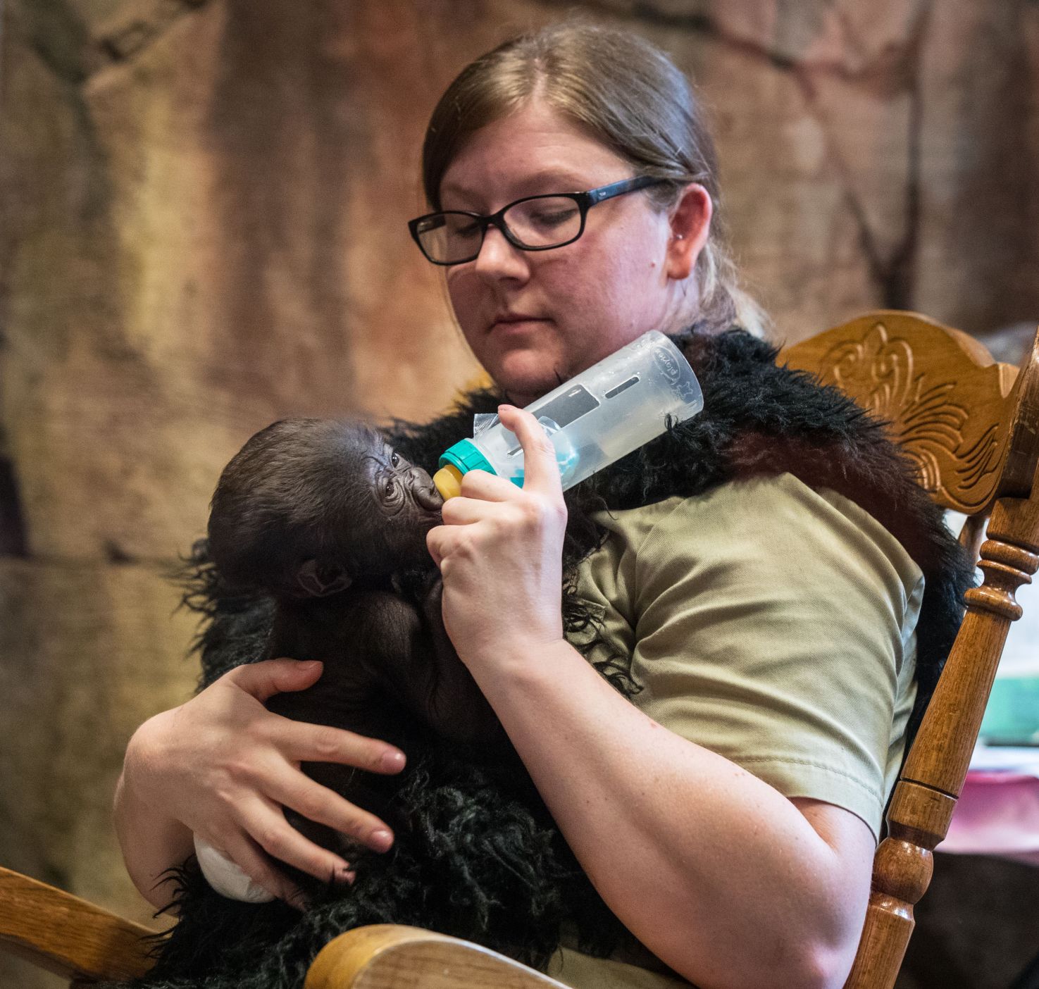 Baby gorilla debuts at Henry Doorly Zoo